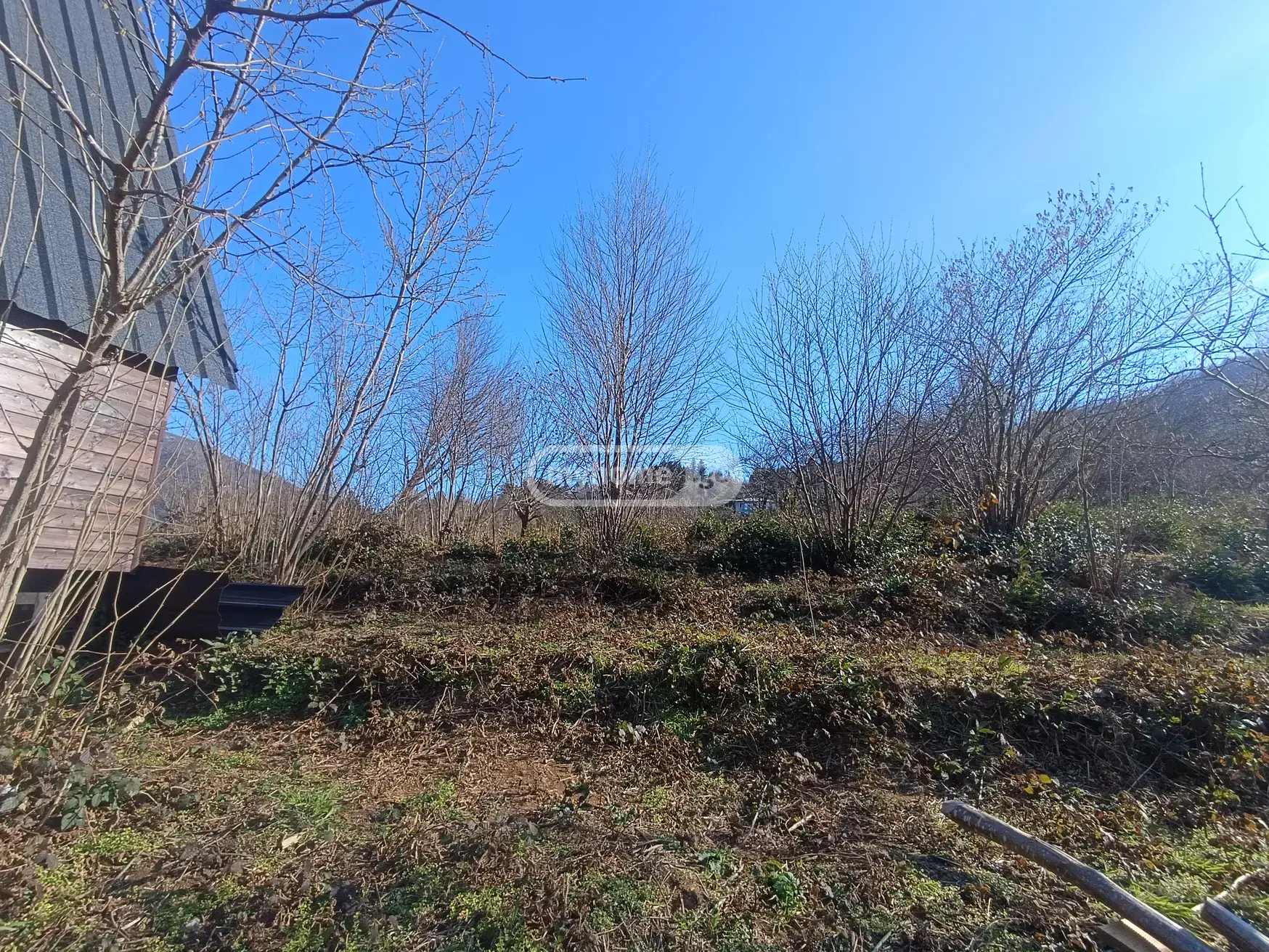 Agricultural Plot For Sale In Batumi view 15