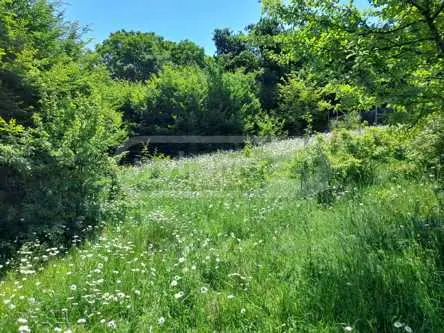 Agricultural Plot For Sale In Betania view 1