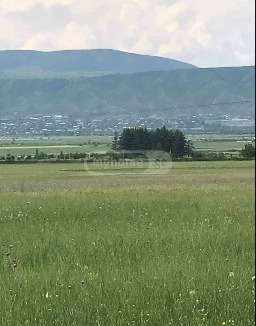 Agricultural Plot For Sale In Mtskheta view 3