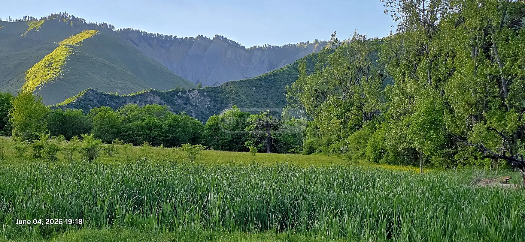 Agricultural Plot For Sale In Tsemi, In Borjomi Municipality view 9