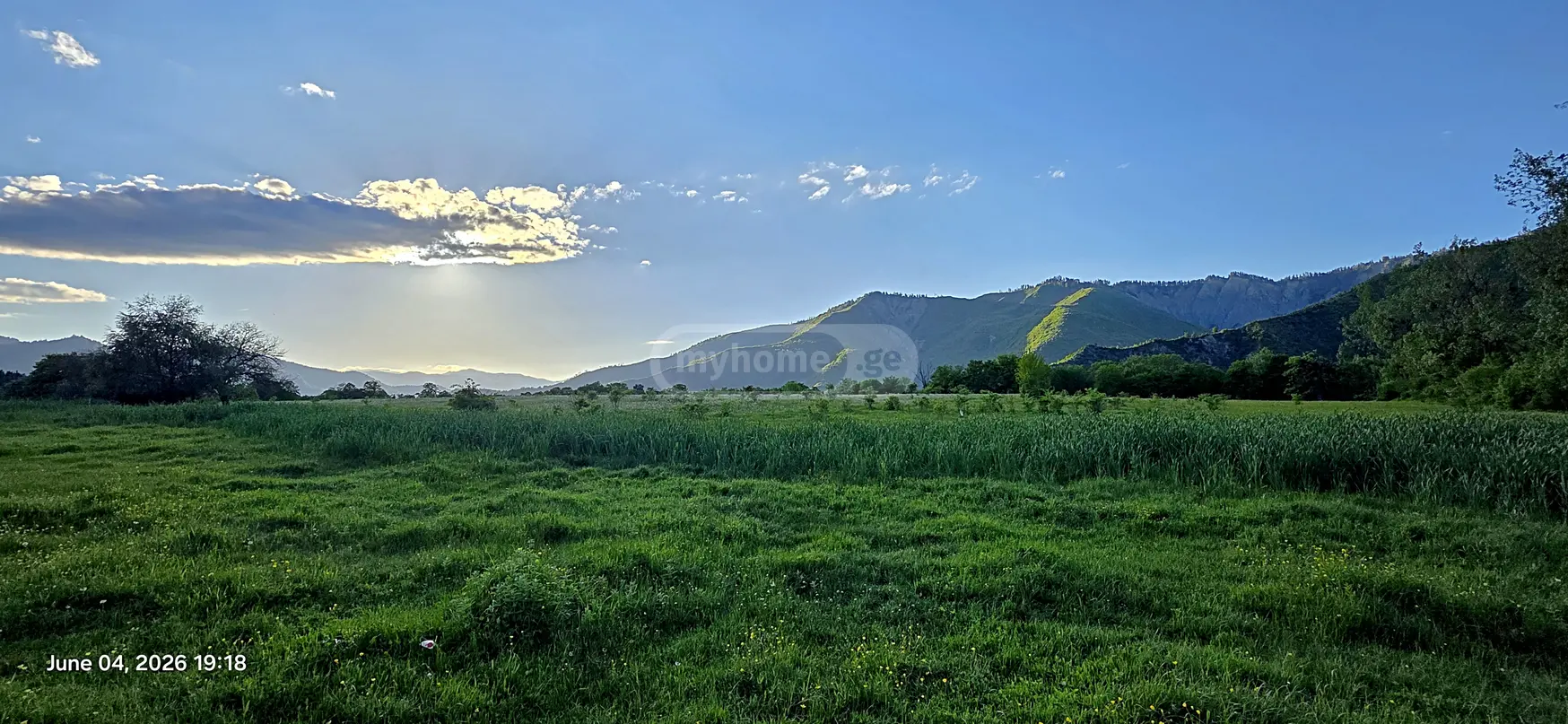 Agricultural Plot For Sale In Tsemi, In Borjomi Municipality view 3
