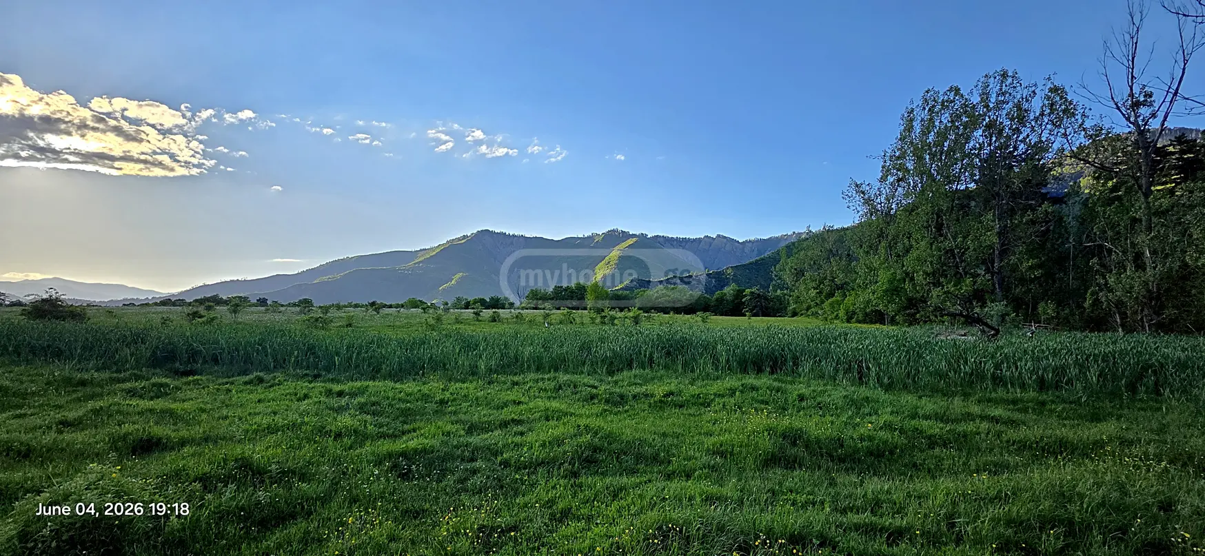 Agricultural Plot For Sale In Tsemi, In Borjomi Municipality view 2