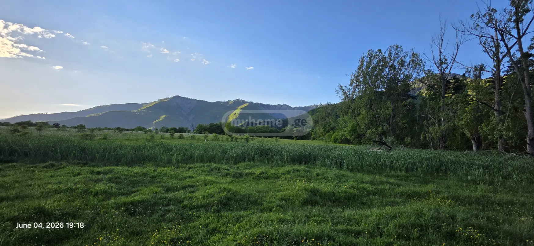 Agricultural Plot For Sale In Tsemi, In Borjomi Municipality view 11
