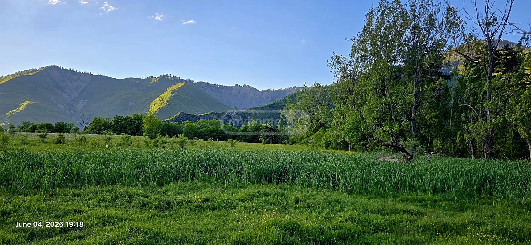 Agricultural Plot For Sale In Tsemi, In Borjomi Municipality view 10