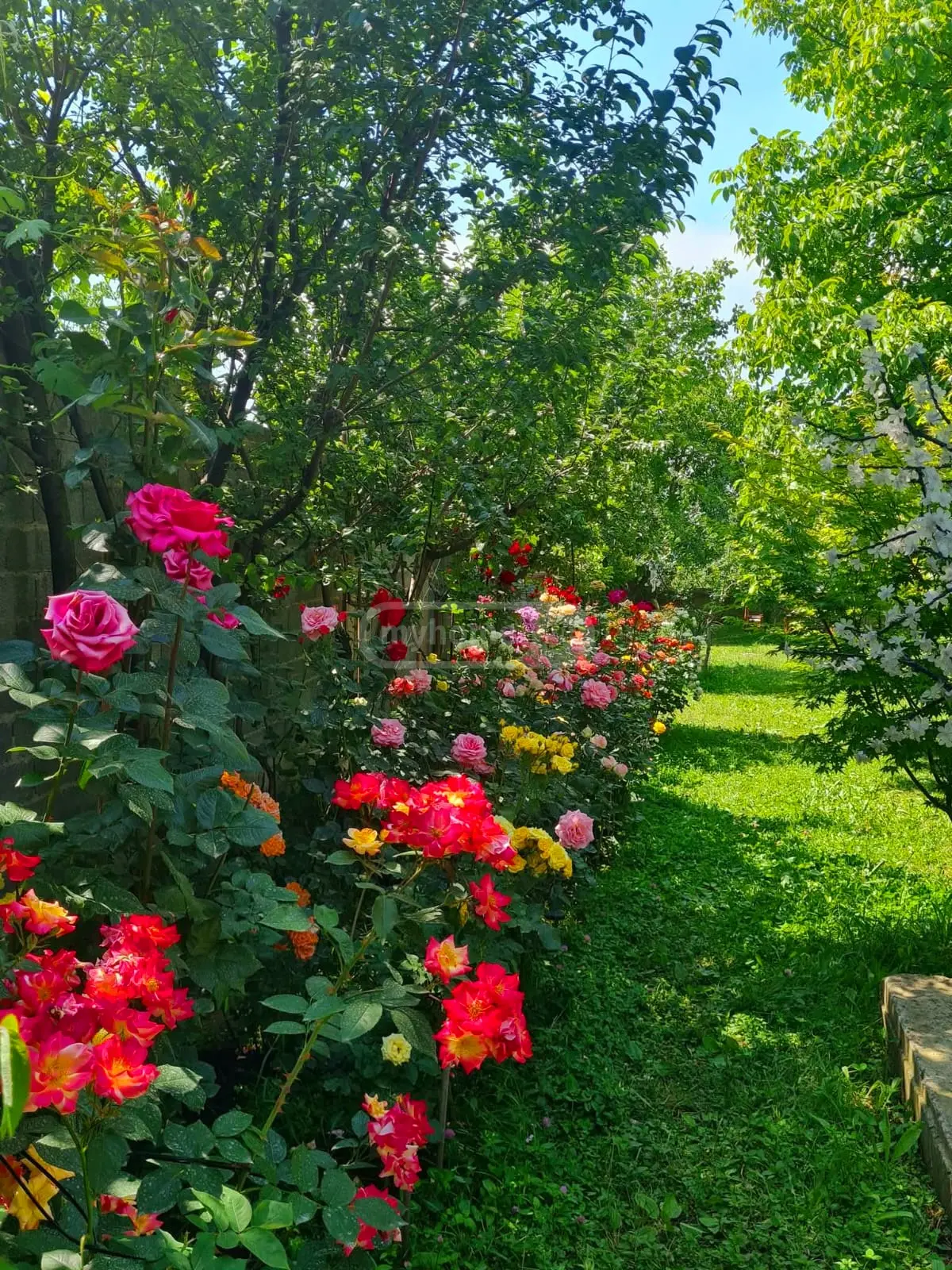 3 Room Country House Daily Rent In Saguramo, In Mtskheta Municipality view 14