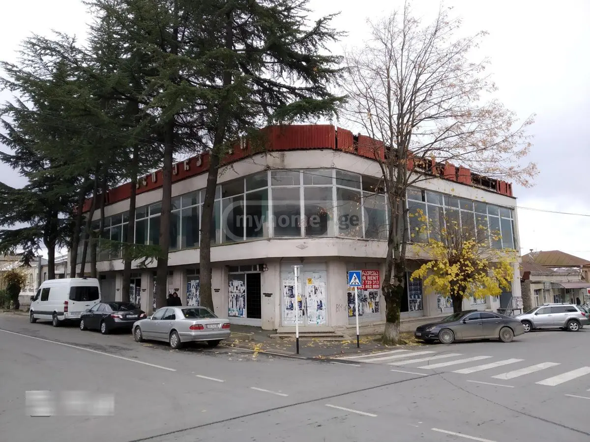 Universal Commercial Area For Sale In Lagodekhi view 1