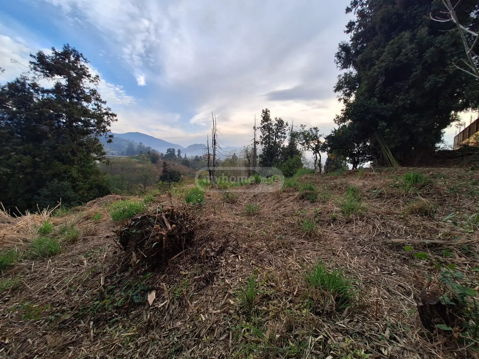 Agricultural Plot For Sale In Batumi view 8