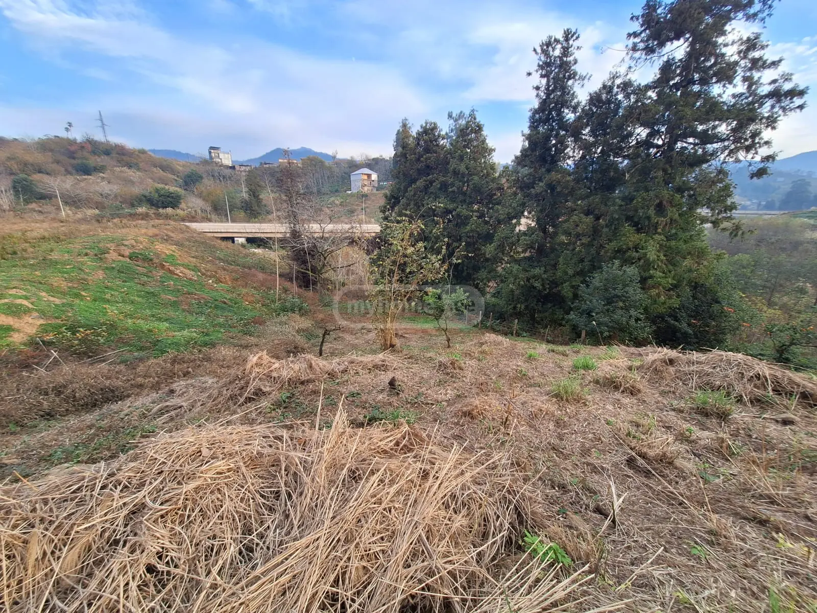 Agricultural Plot For Sale In Batumi view 7