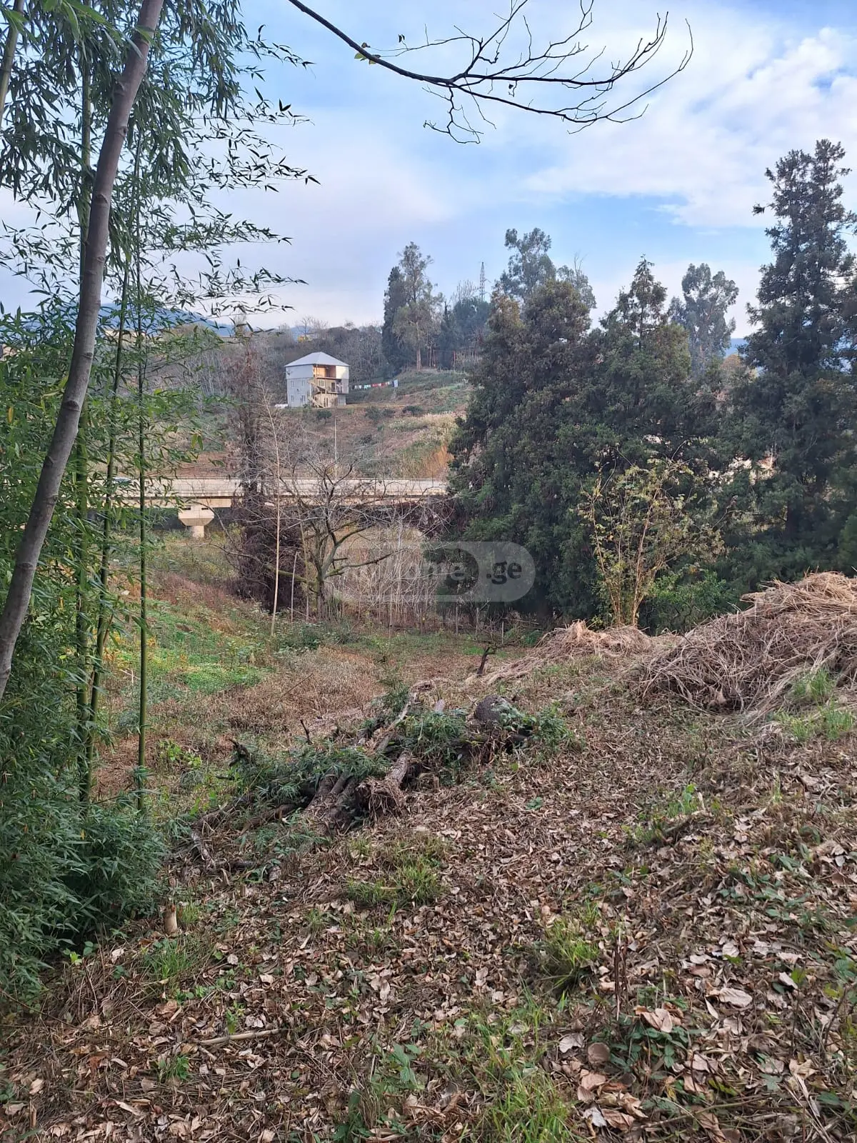Agricultural Plot For Sale In Batumi view 11