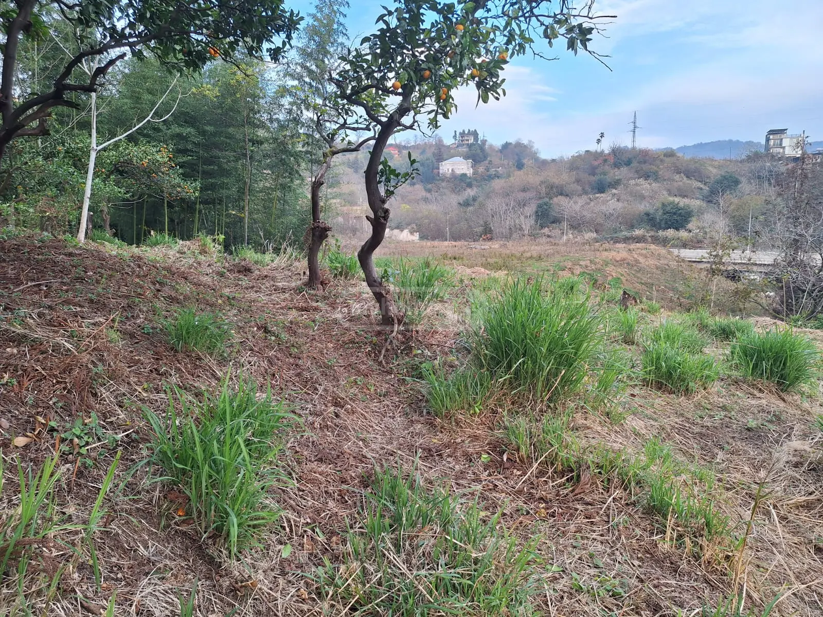Agricultural Plot For Sale In Batumi view 6