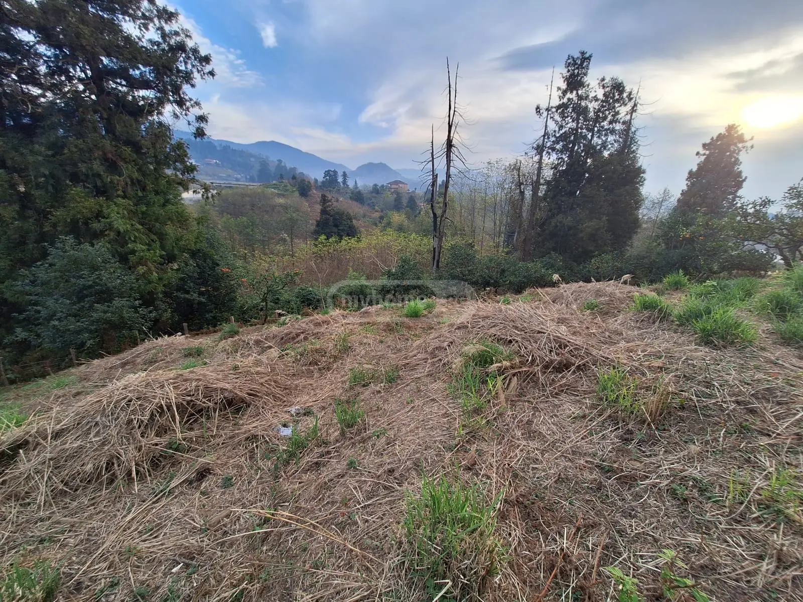 Agricultural Plot For Sale In Batumi view 9