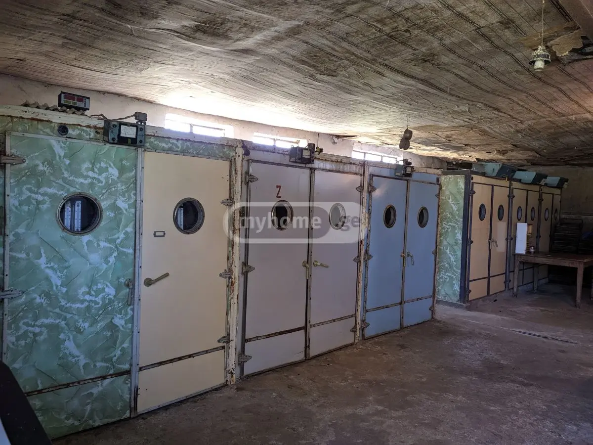 Non-Agricultural Plot For Sale In Zestaphoni view 4