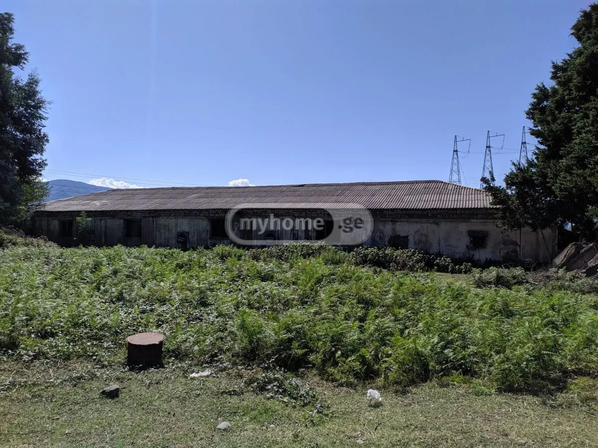 Non-Agricultural Plot For Sale In Zestaphoni view 6