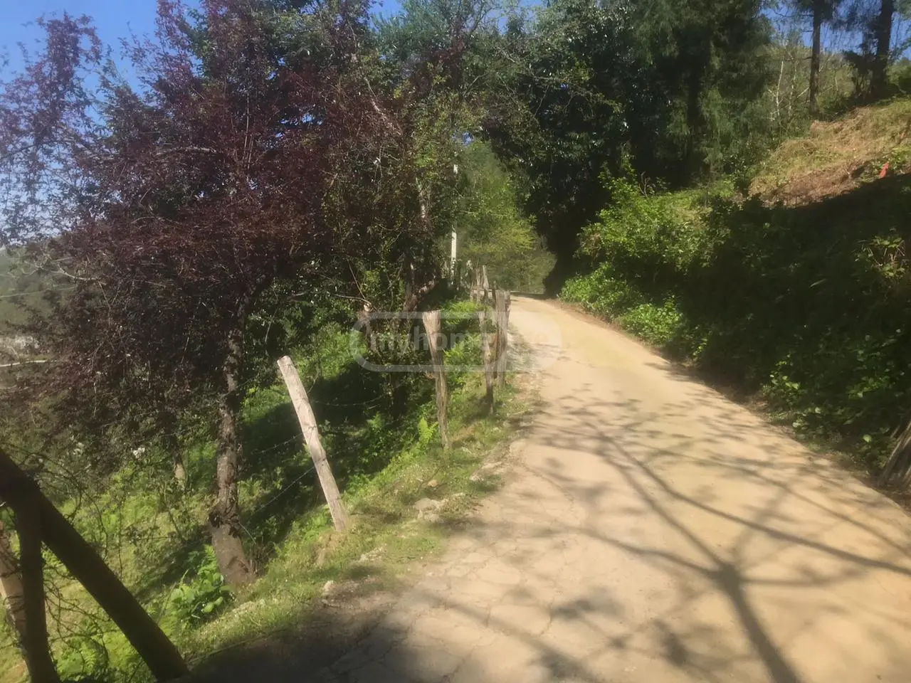 Agricultural Plot For Sale In Kvariati, In Khelvachauri Municipality view 4
