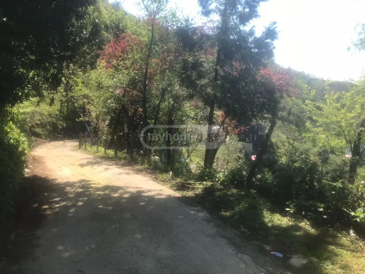 Agricultural Plot For Sale In Kvariati, In Khelvachauri Municipality view 5