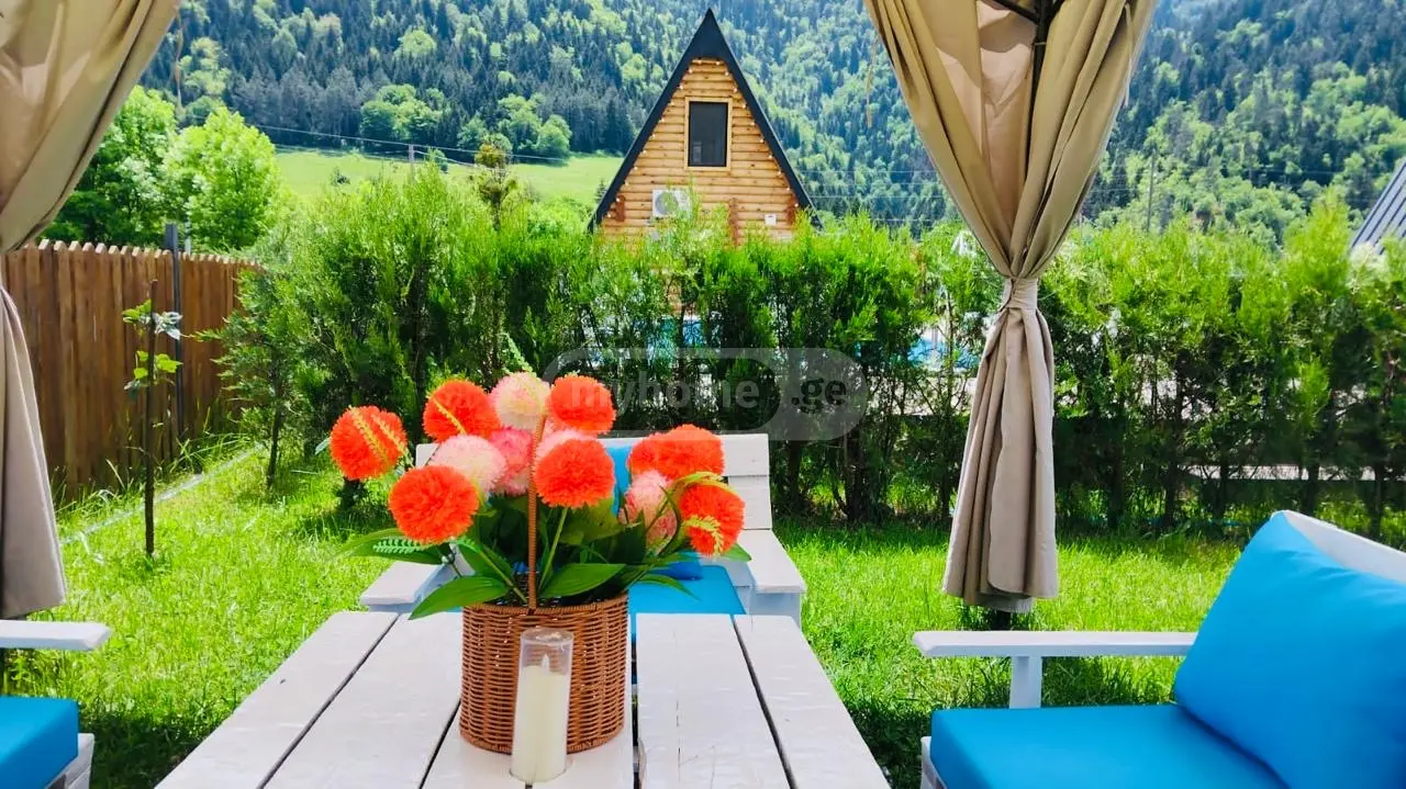 3 Room Country House Daily Rent In Borjomi view 3