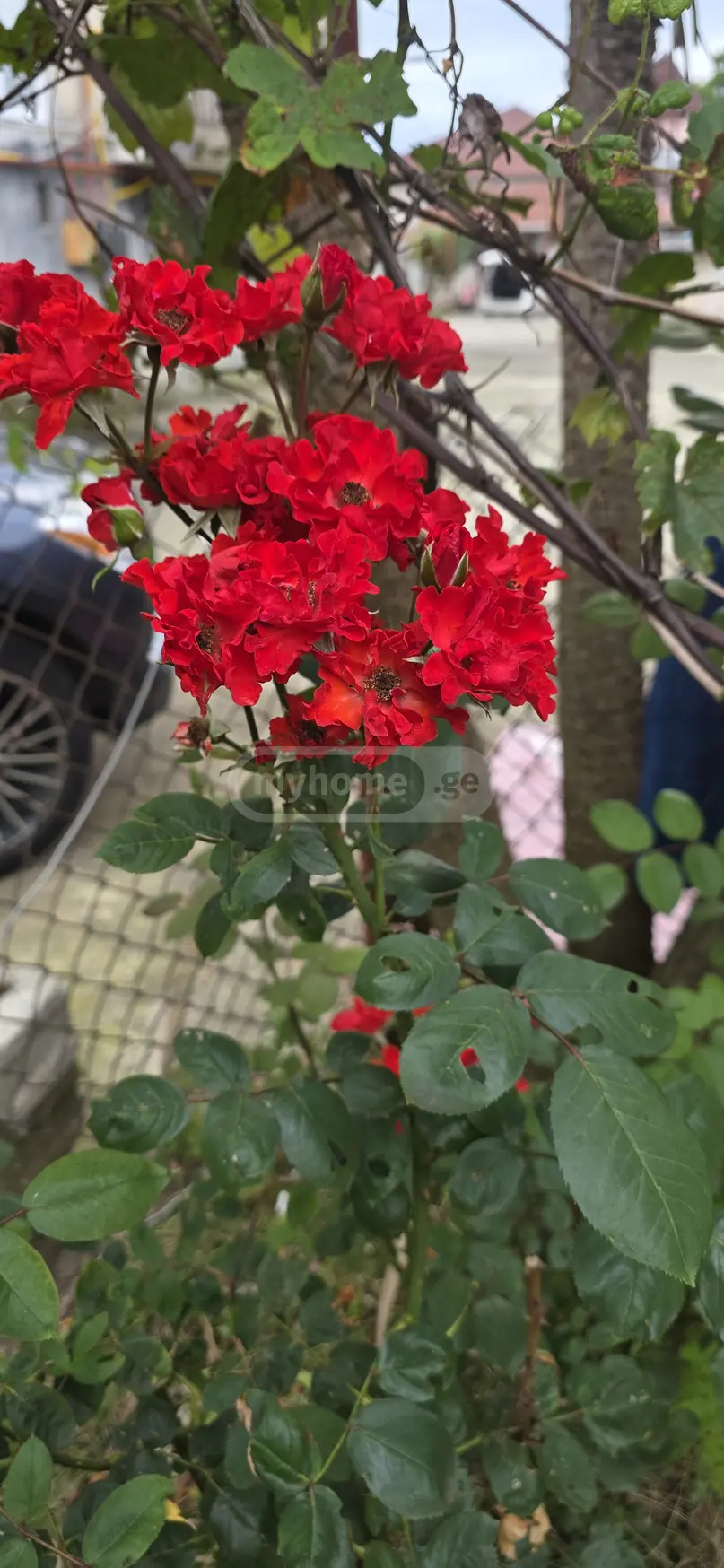 2 Room Country House For Sale view 8