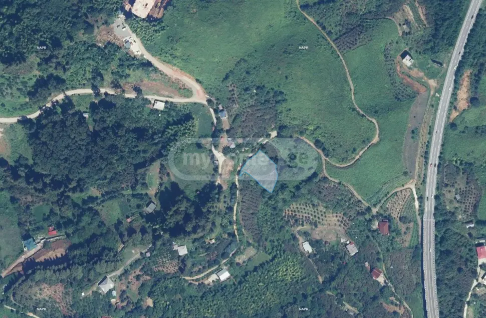 Agricultural Plot For Sale In Chaqvi, In Kobuleti Municipality view 1