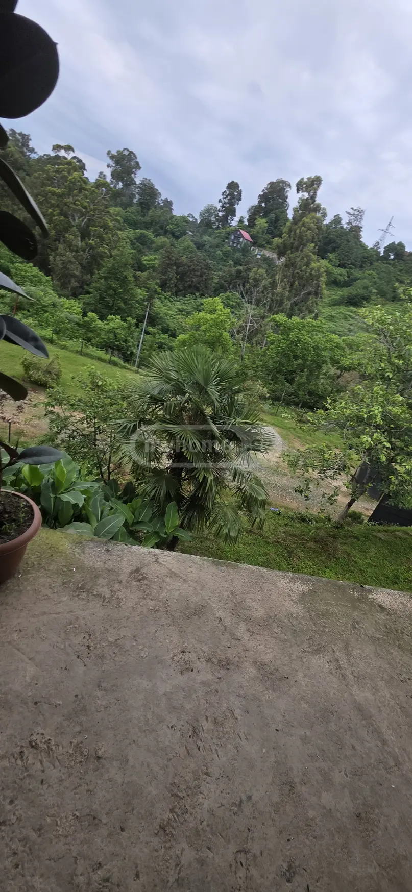2 Room Country House For Sale view 12
