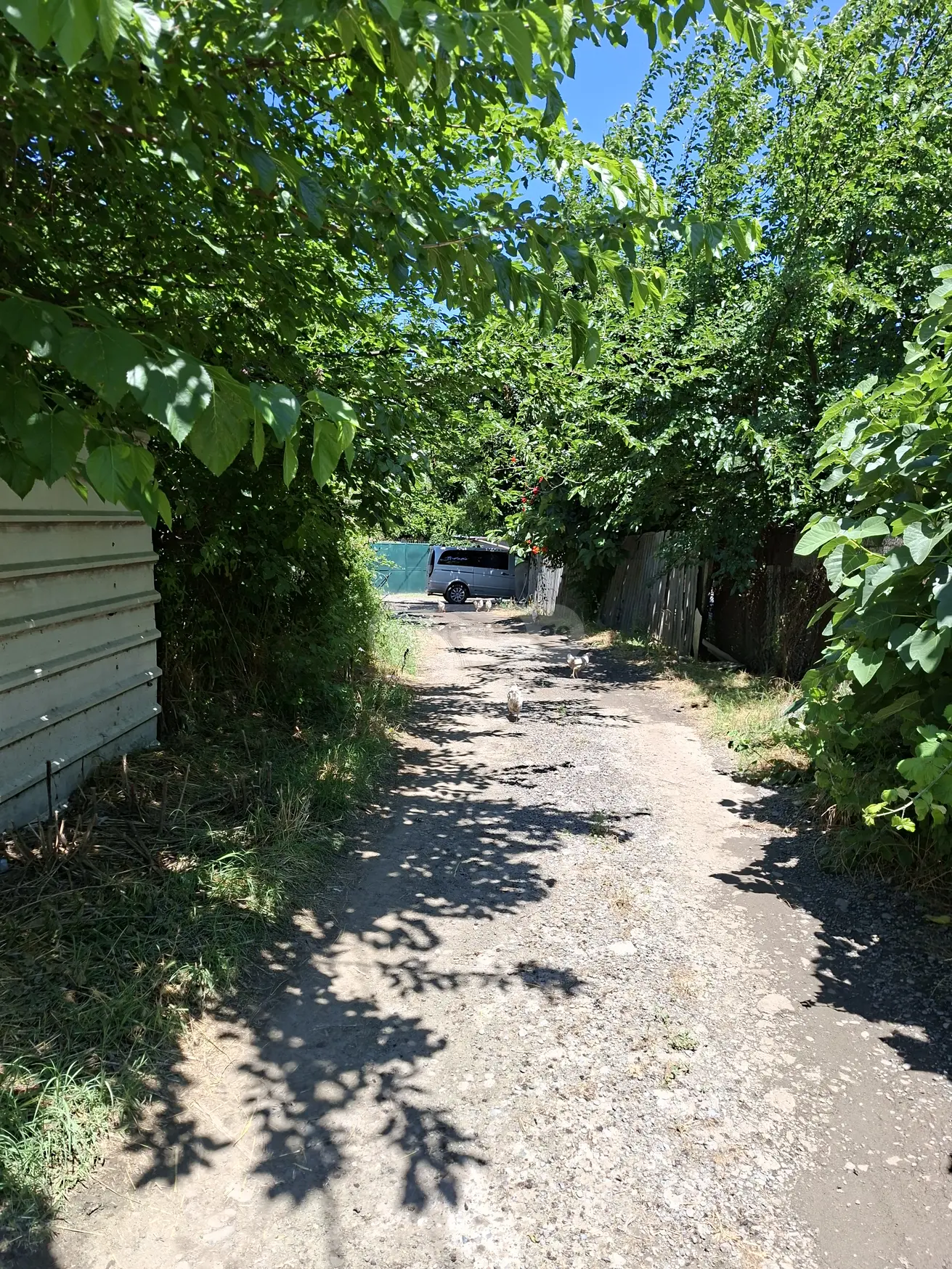 Special Plot For Sale In Rustavi view 2