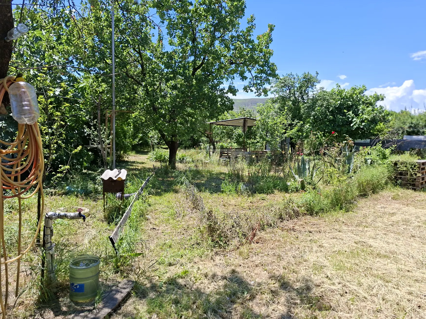 Special Plot For Sale In Rustavi view 6