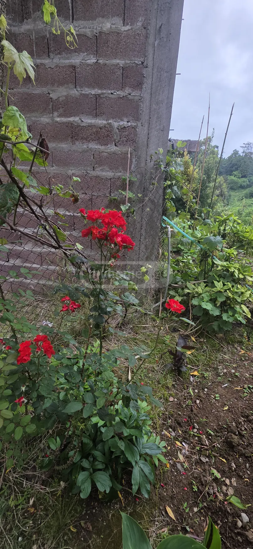 2 Room Country House For Sale view 7