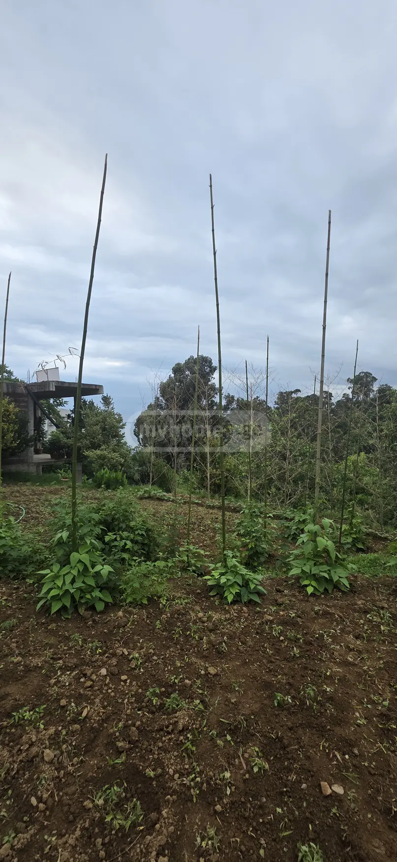 2 Room Country House For Sale view 5
