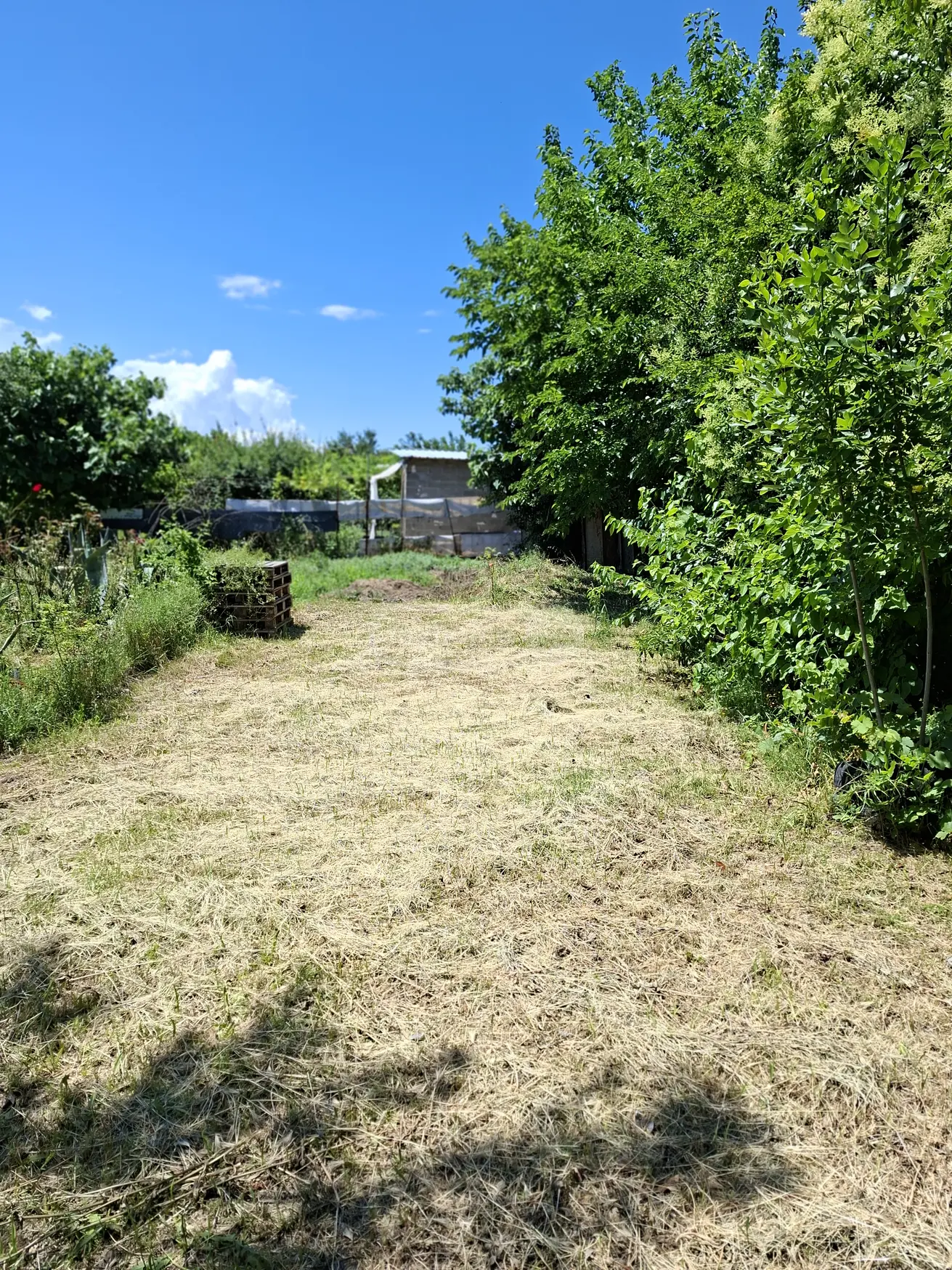 Special Plot For Sale In Rustavi view 4