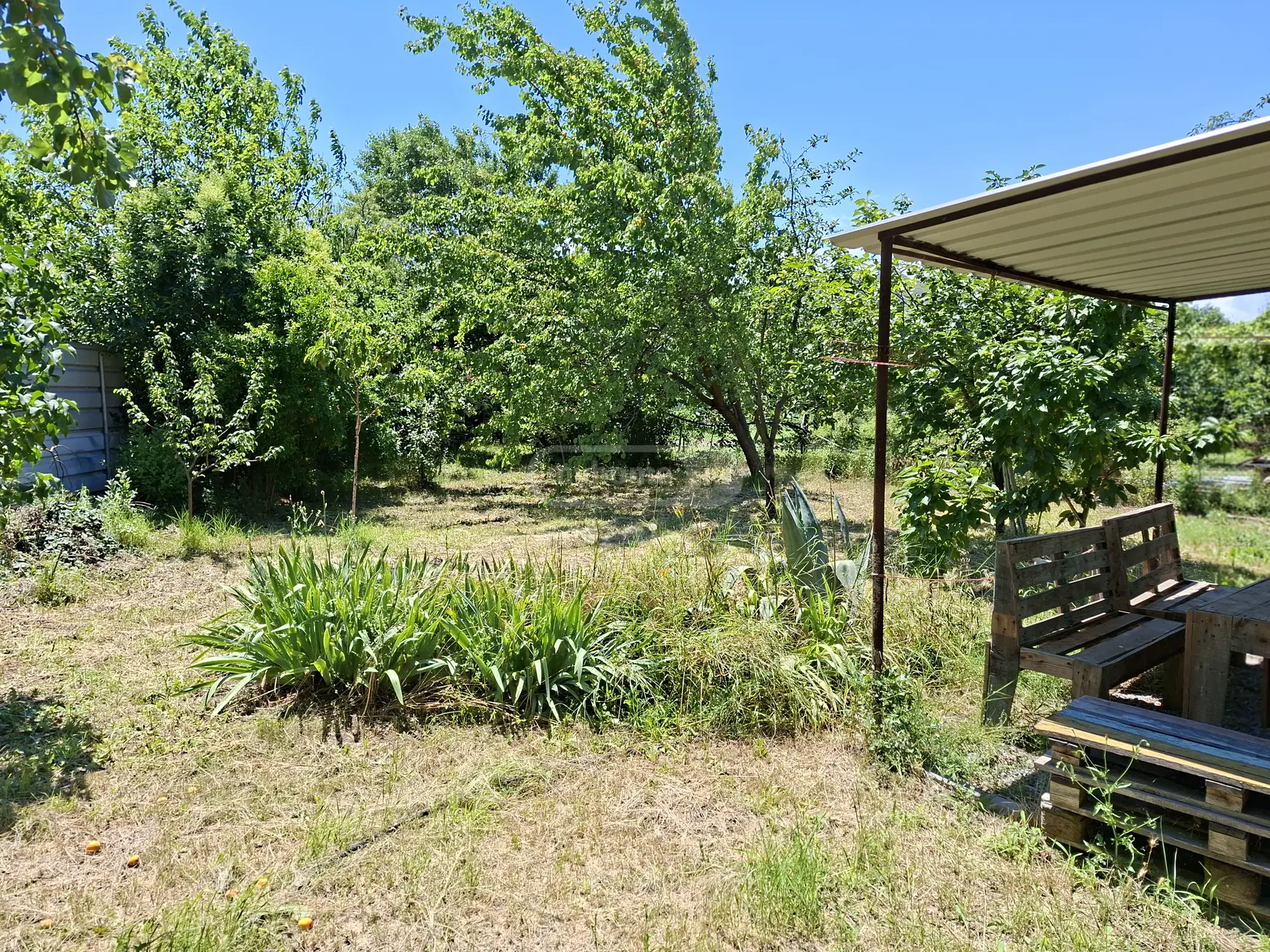 Special Plot For Sale In Rustavi view 11