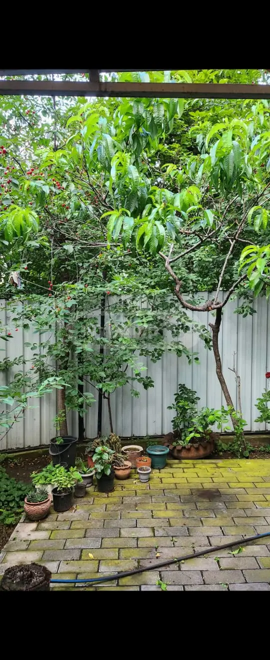 6 Room Private House For Sale view 3