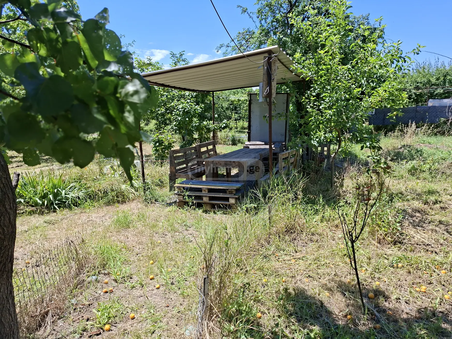 Special Plot For Sale In Rustavi view 10