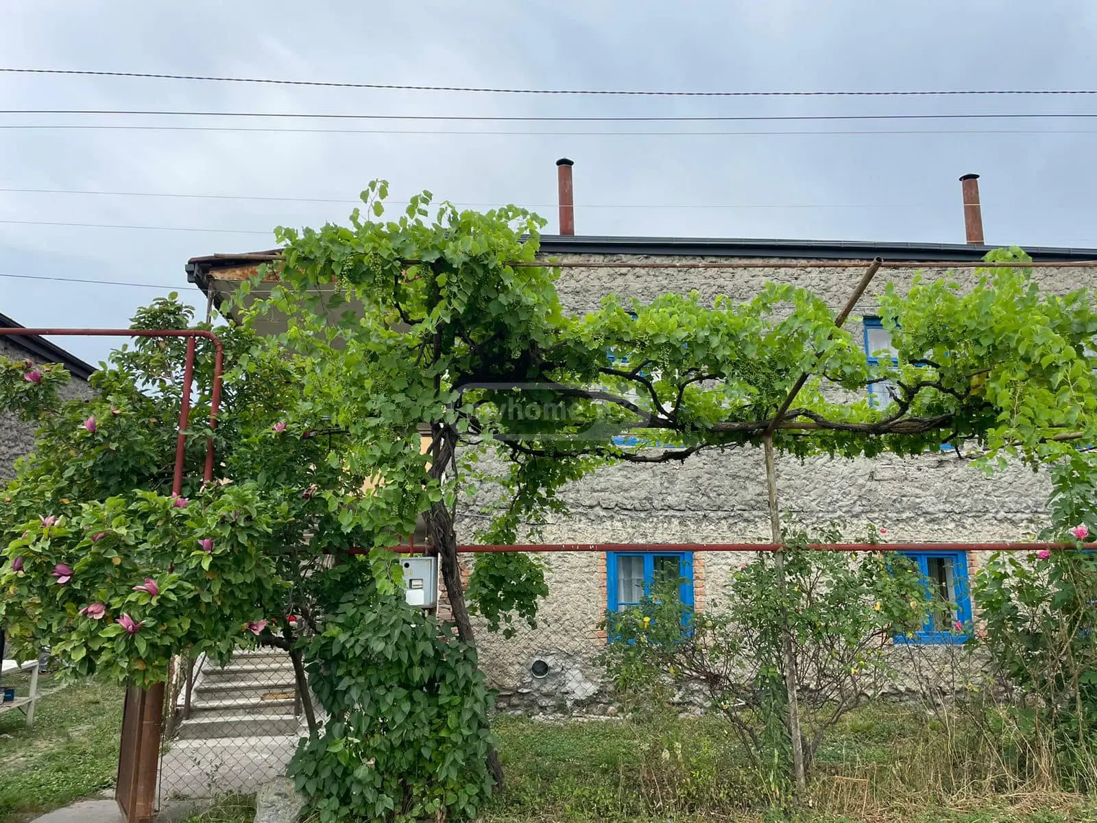 4 Room Private House For Rent In Naphareuli, In Telavi Municipality view 12