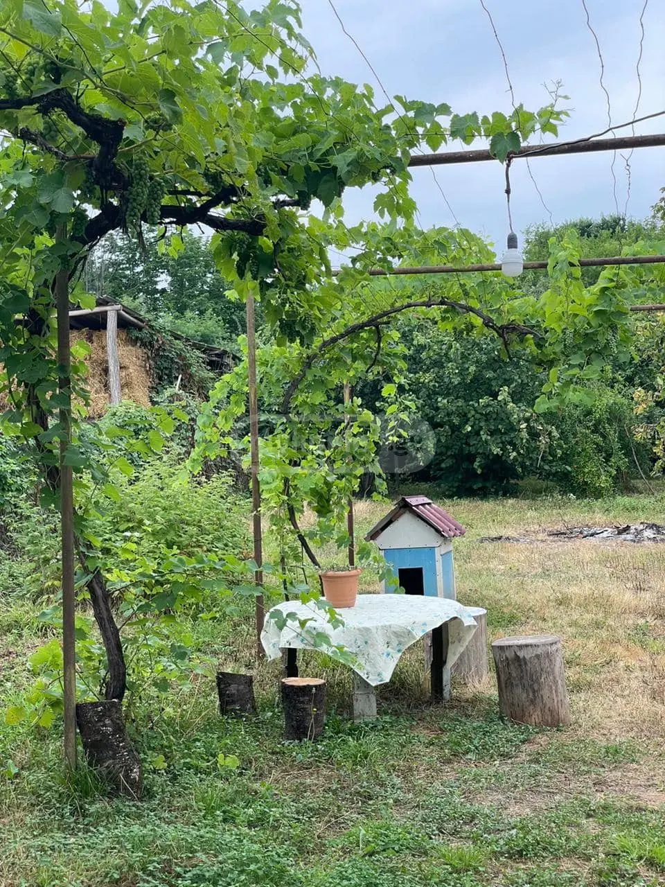4 Room Private House For Rent In Naphareuli, In Telavi Municipality view 9