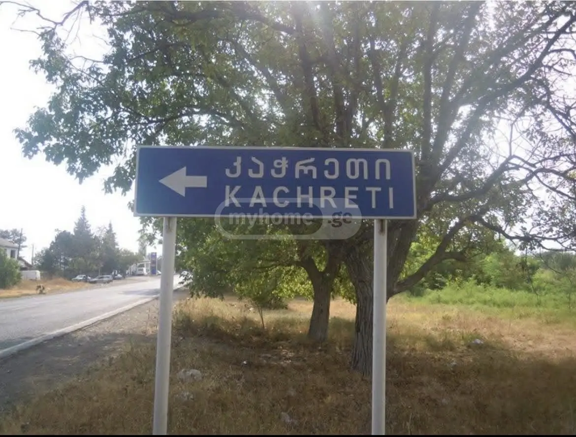 იყიდება Non-Agricultural Plot In Katchreti, In Gurjaani Municipalityში view 1