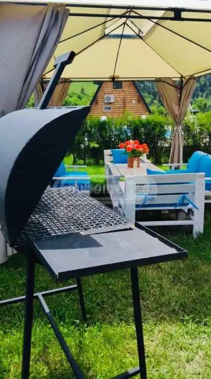 3 Room Country House Daily Rent In Borjomi view 8