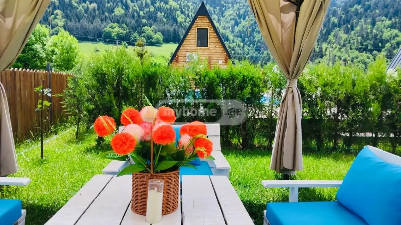 3 Room Country House Daily Rent In Borjomi view 4