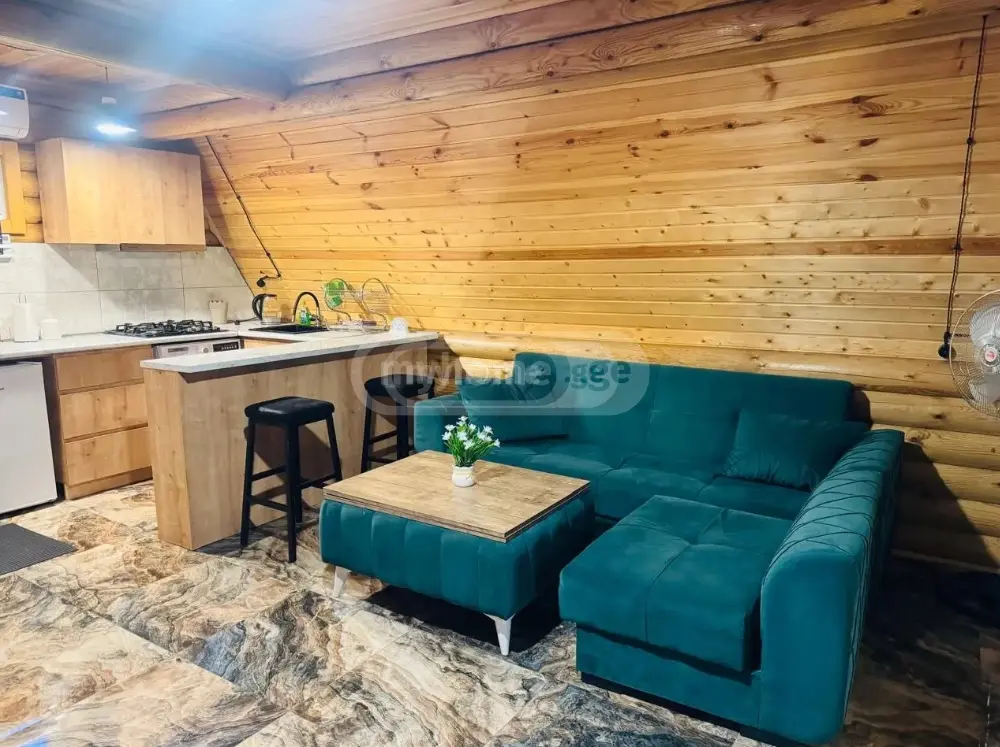 3 Room Country House Daily Rent In Borjomi view 5