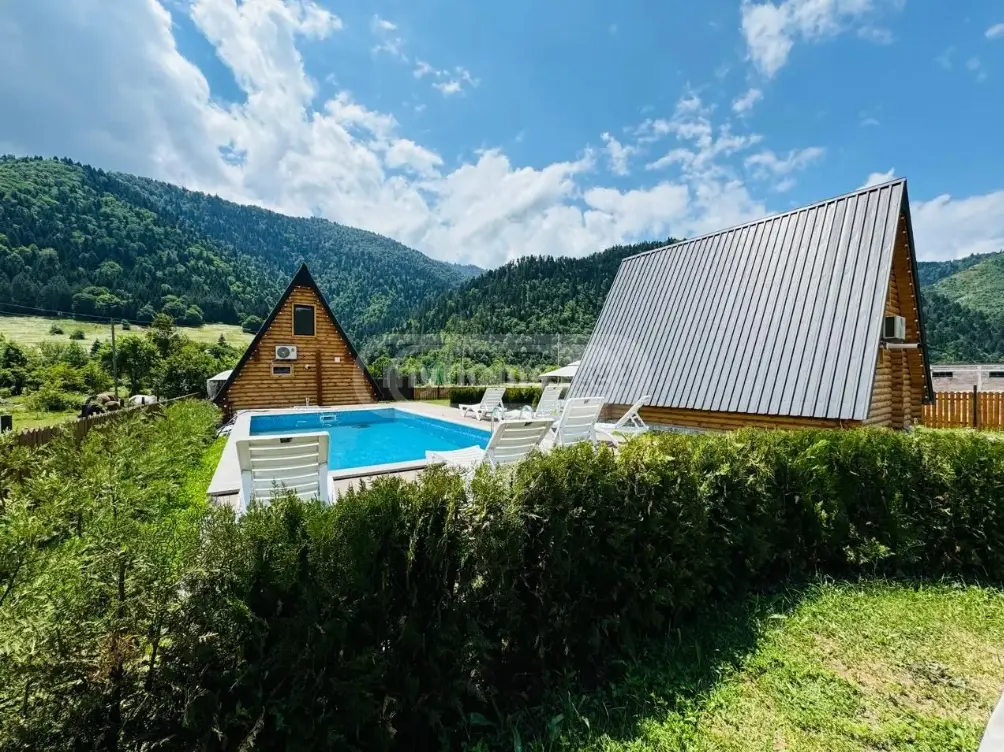 3 Room Country House Daily Rent In Borjomi view 2