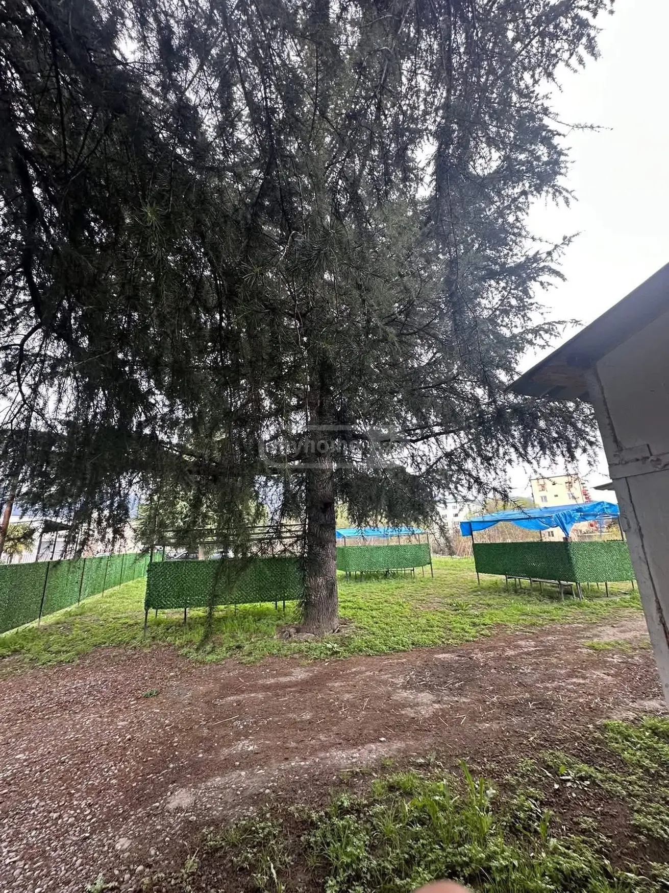 იყიდება Agricultural Plot In Lagodekhiში view 8