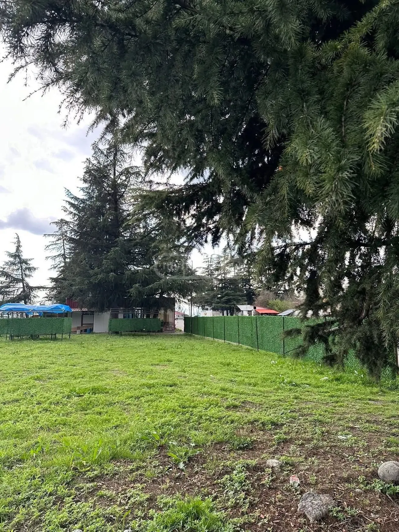 იყიდება Agricultural Plot In Lagodekhiში view 7