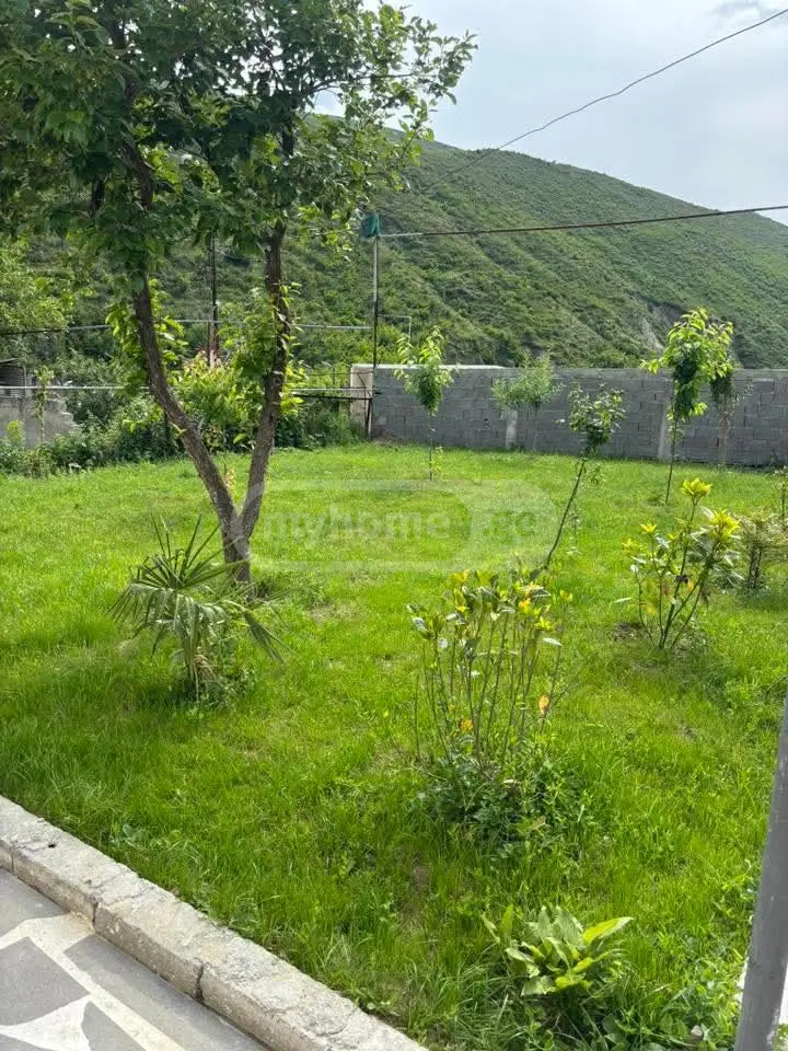 4 Room Country House Daily Rent In Sop. Dighomi view 15
