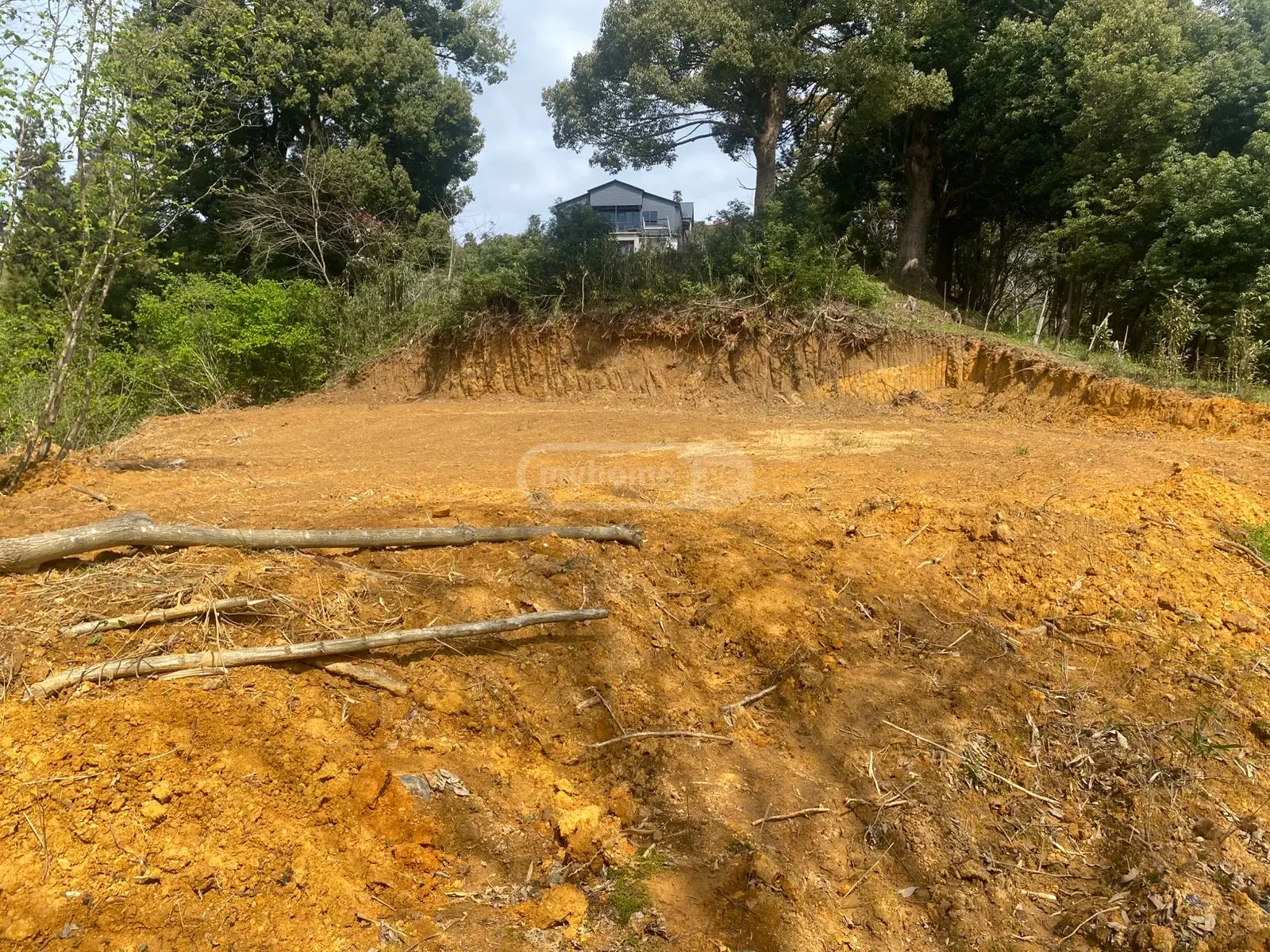 Agricultural Plot For Sale In Batumi view 3