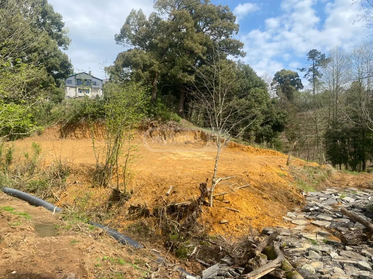 Agricultural Plot For Sale In Batumi view 1