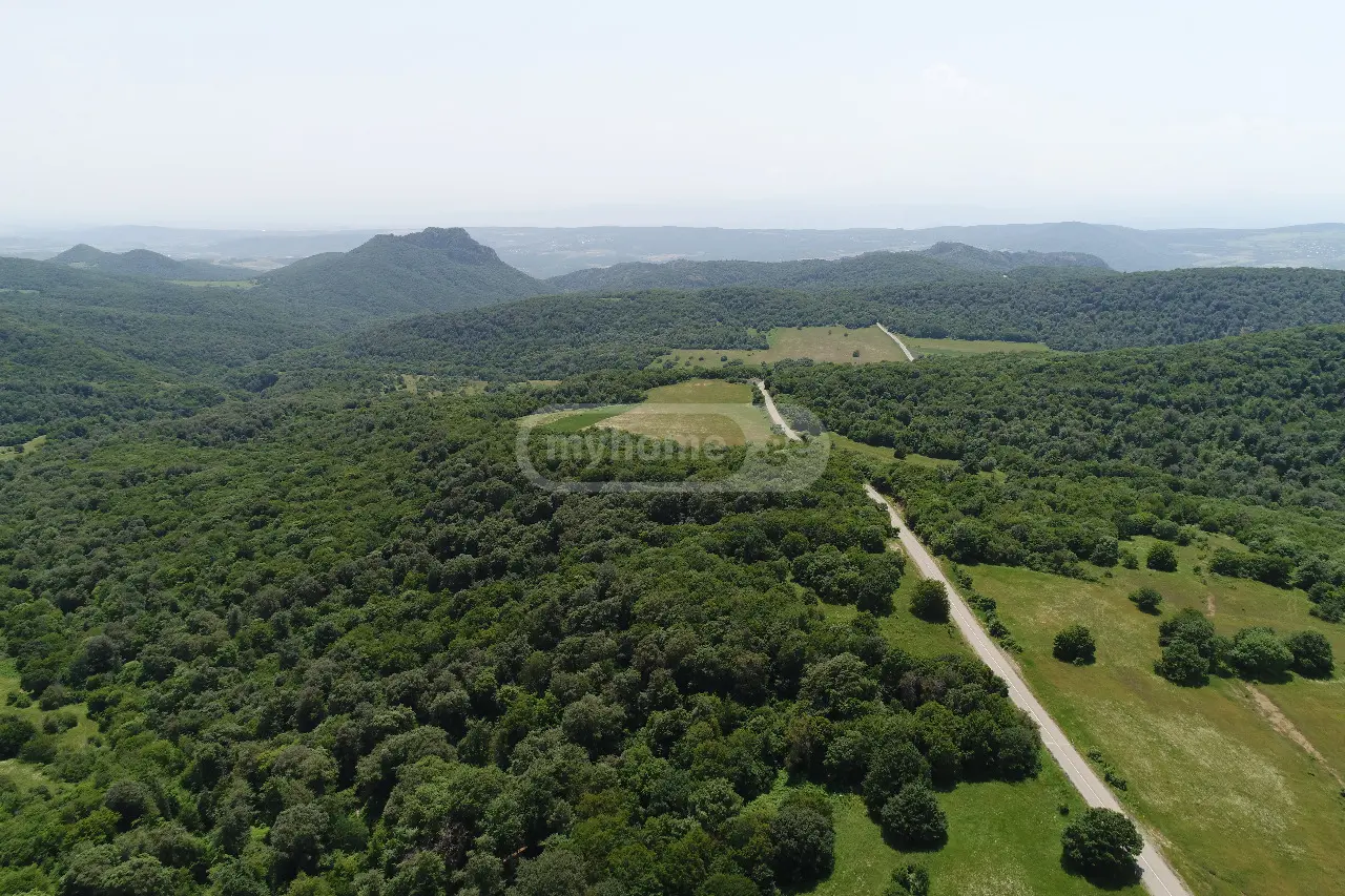 იყიდება Agricultural Plot In Tetritskaroში view 1