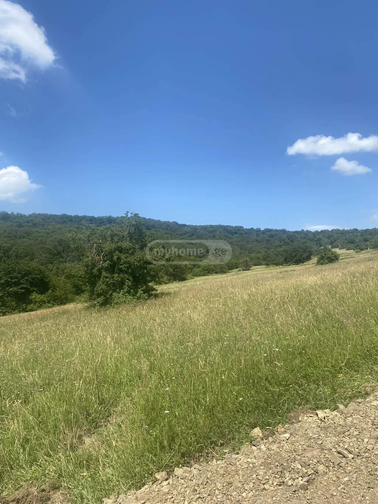 იყიდება Agricultural Plot In Tetritskaroში view 3