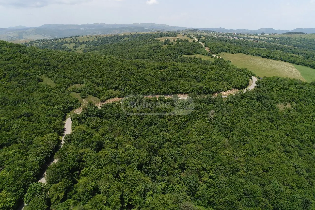 იყიდება Agricultural Plot In Tetritskaroში view 2