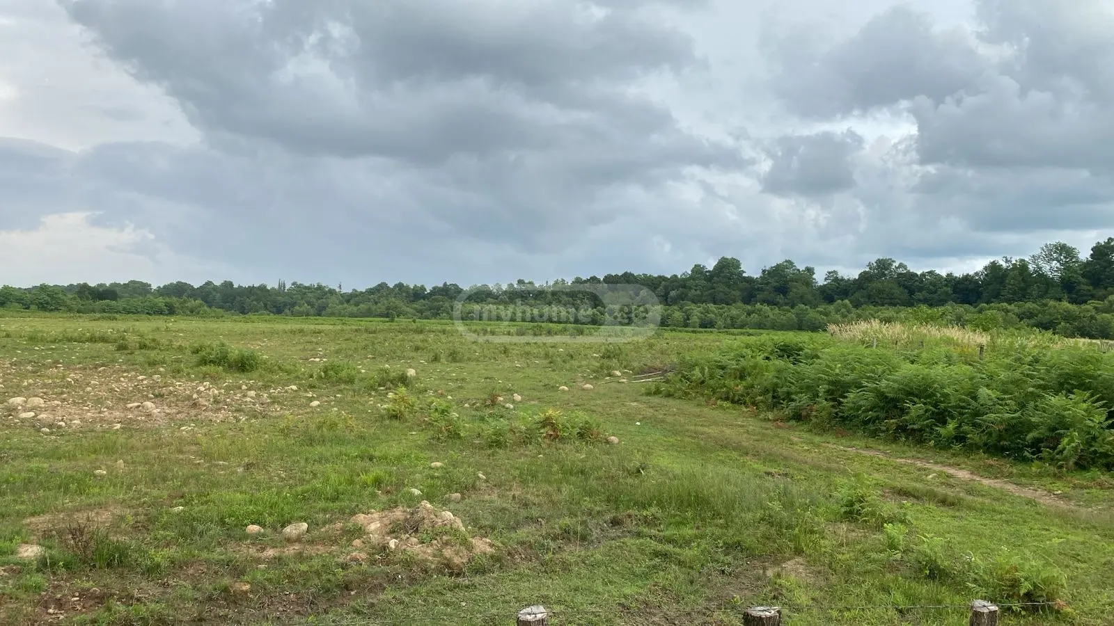 Agricultural Plot For Sale In Zugdidi view 16
