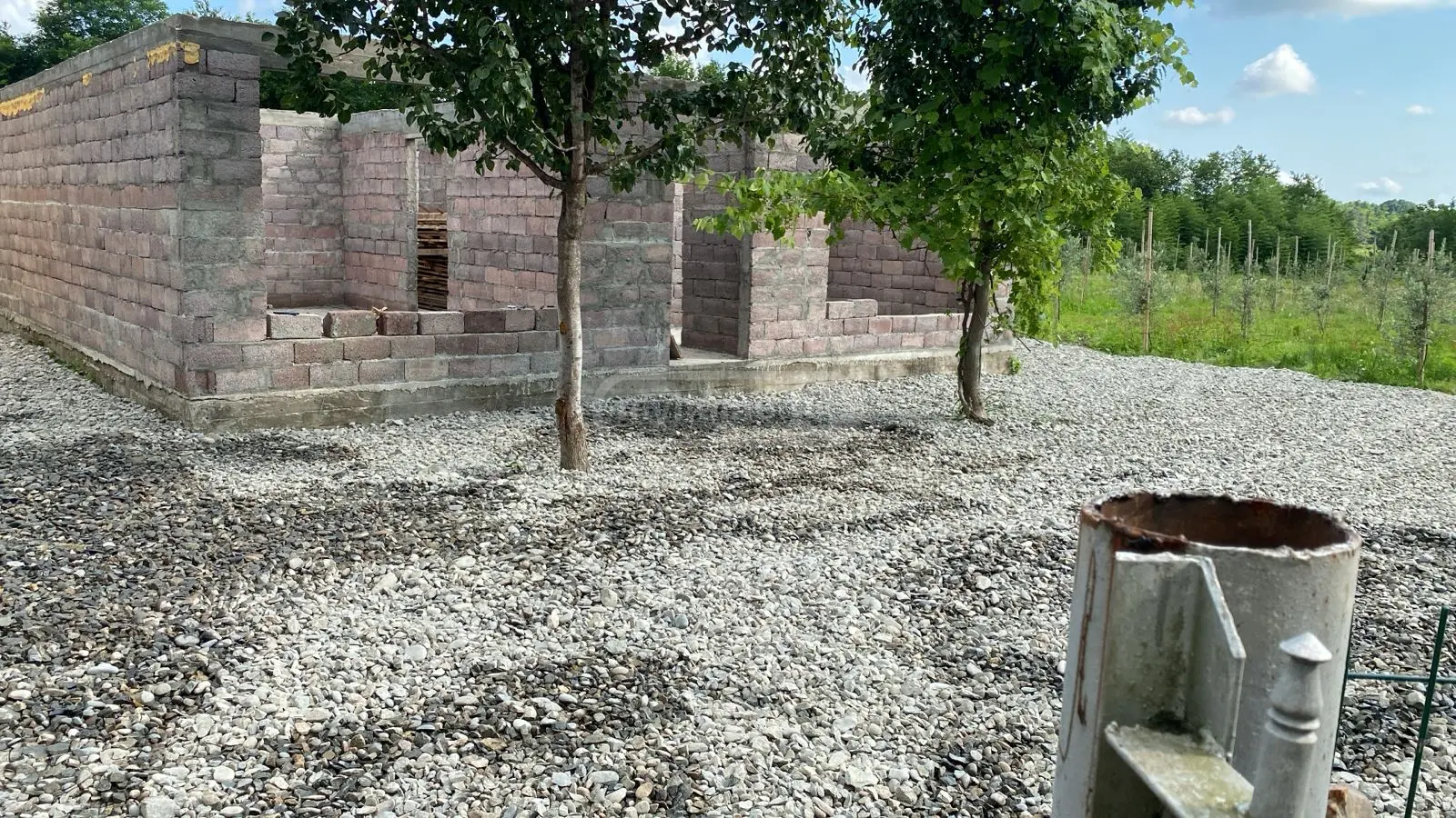 Agricultural Plot For Sale In Zugdidi view 6
