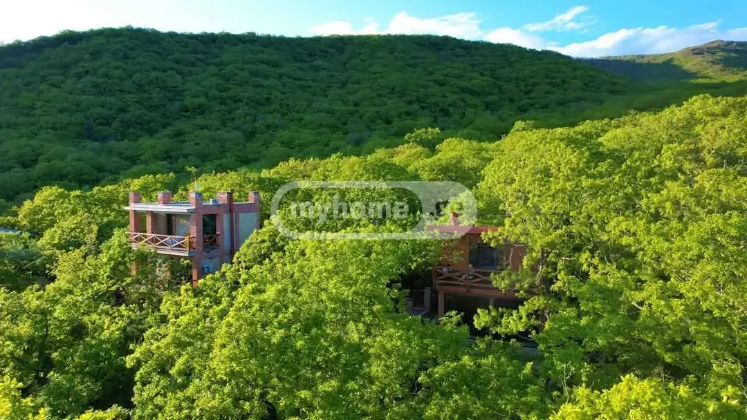 6 Room Country House Daily Rent In Gldani view 14