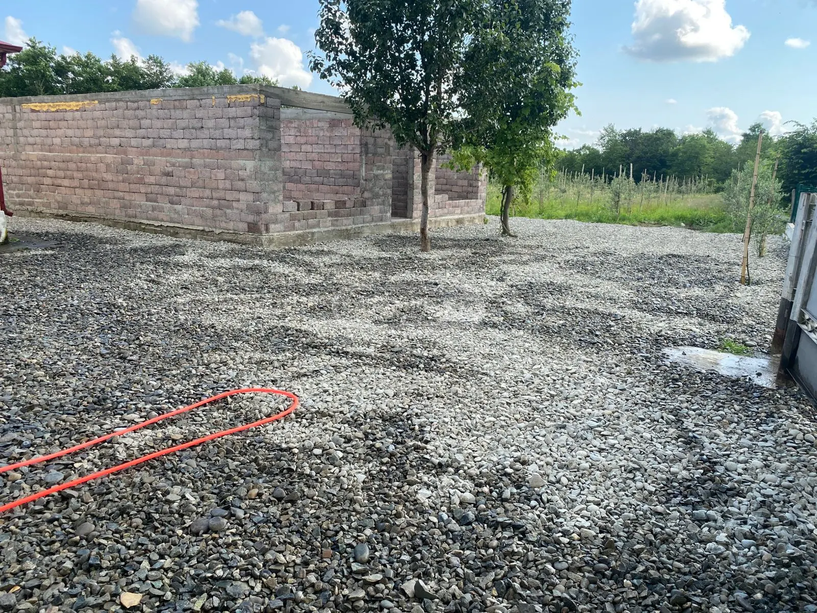 Agricultural Plot For Sale In Zugdidi view 5